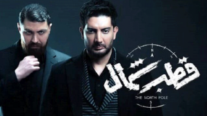 فرزاد فرزین در قطب شمال