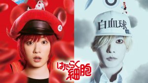 cells at work