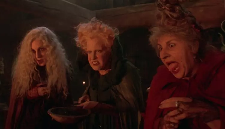 بازگشت جادوگران: Hocus Pocus 3با بت میدلر در راه است! 2 135e4522 f5a8 49ac b038 b39f864f369a