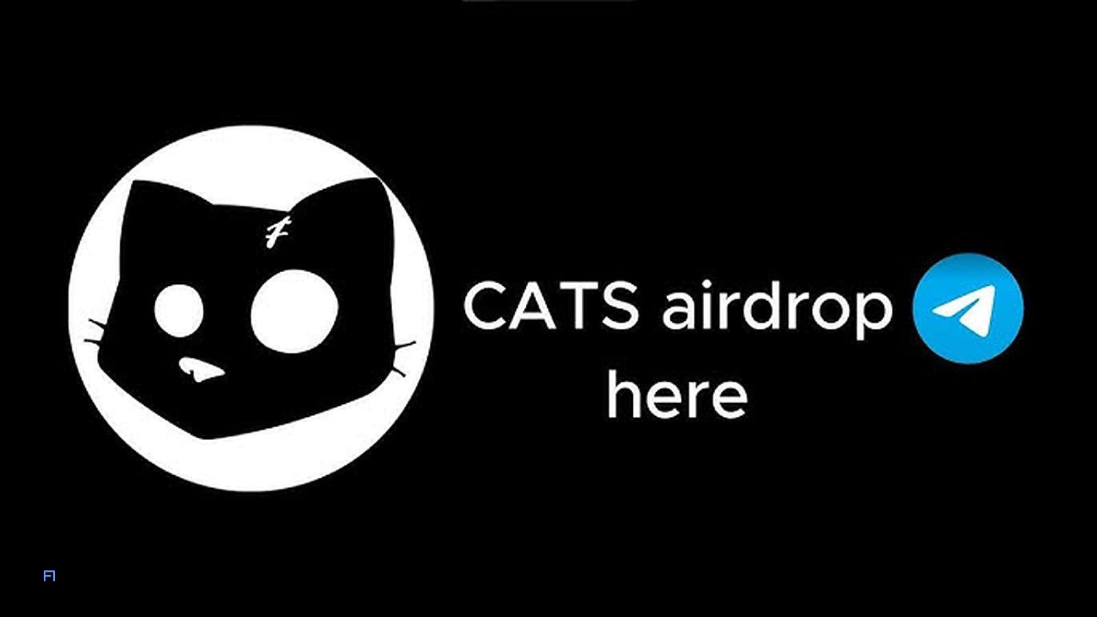 بعد از موفقیت DOGS، نوبت ایردراپ CATS است: فرصتی طلایی برای کسب درآمد رایگان 4 ایردراپ جدید CATS