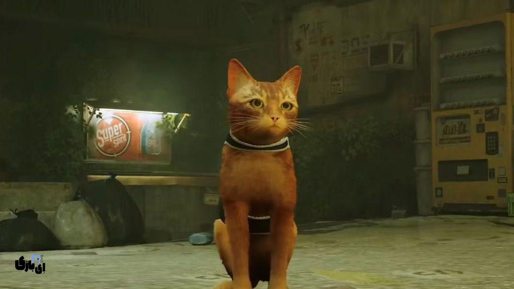 ماجراجویی بیپایان بازی Stray از نسخه نینتندو سوییچ تا شایعات دنبالهای جدید 5 بازی Stray