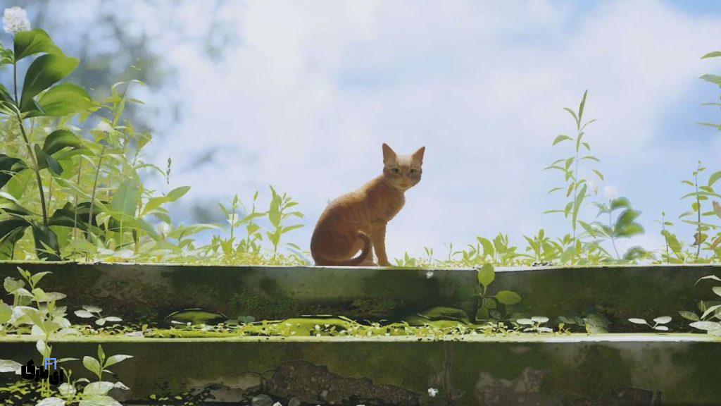 ماجراجویی بیپایان بازی Stray از نسخه نینتندو سوییچ تا شایعات دنبالهای جدید 7 نسخه نینتندو سوییچ بازی Stray