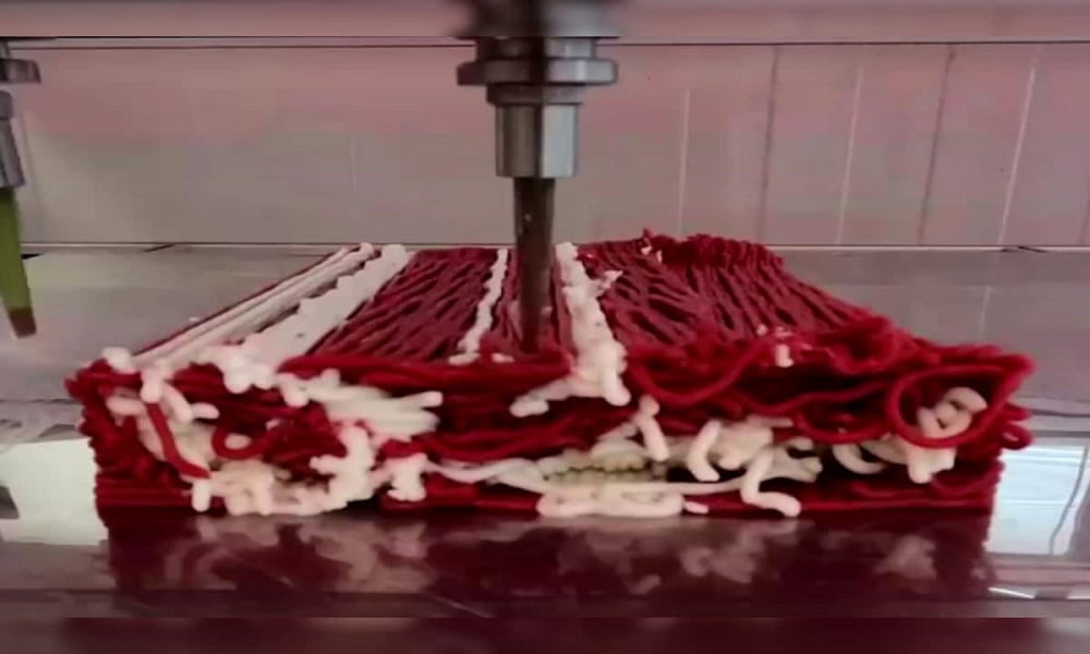 هفته نامه شماره ۲۲/درخشش ایران در اسکار 2025/شیرین سوهانی و حسین ملایمی رکورد زدند 9 3D meat printing process