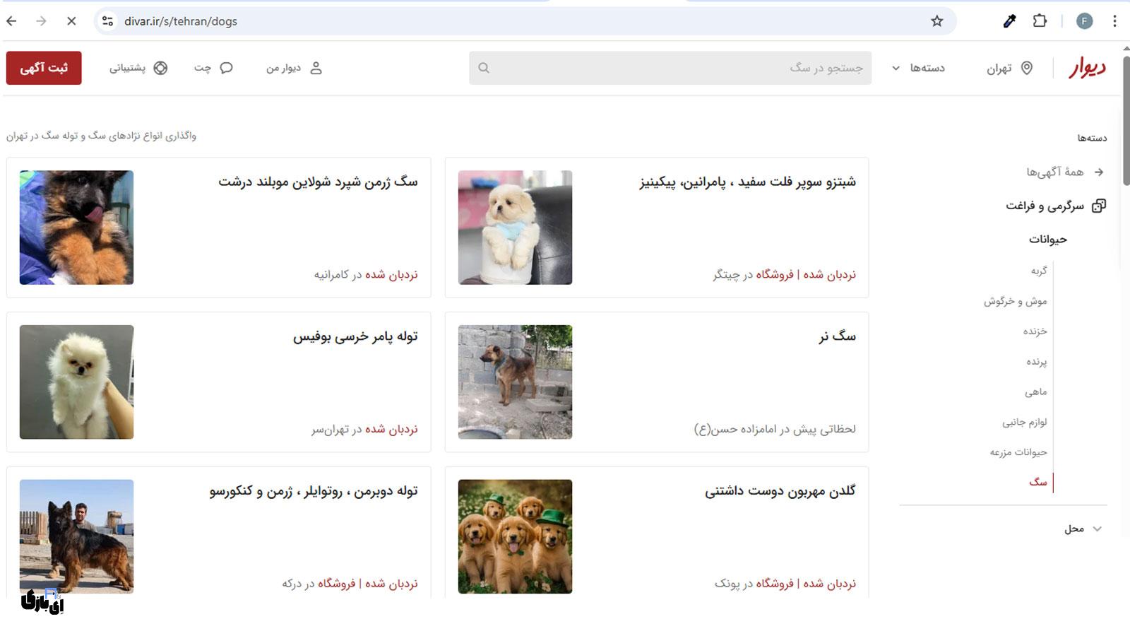 کجا سگ بخریم؟ معرفی مطمئنترین سایتهای خرید و فروش سگ در ایران! 1 معرفی بهترین سایت های خرید و فروش سگ-دیوار