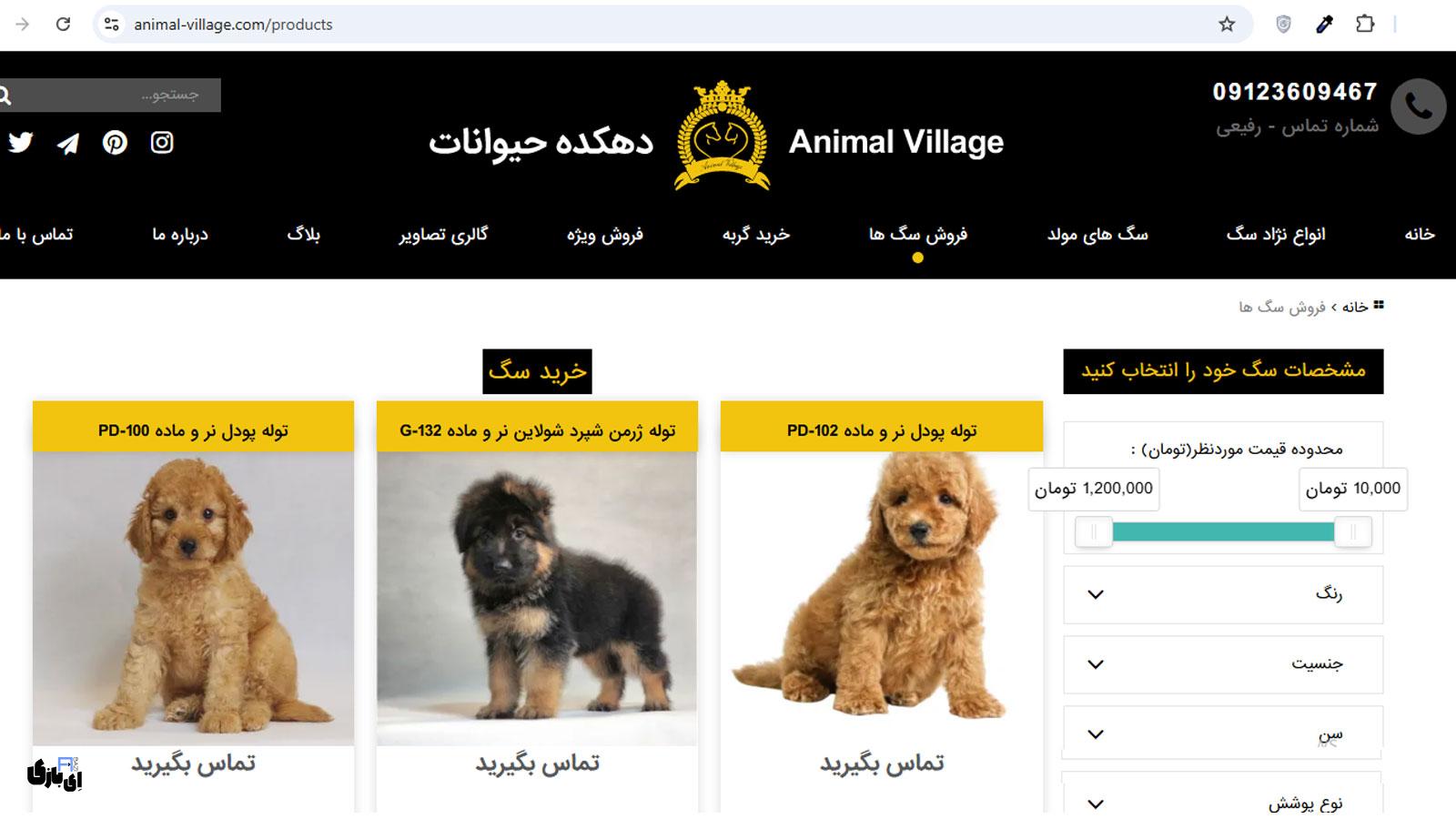 کجا سگ بخریم؟ معرفی مطمئنترین سایتهای خرید و فروش سگ در ایران! 4 معرفی بهترین سایت های خرید و فروش سگ-دهکده حیوانات