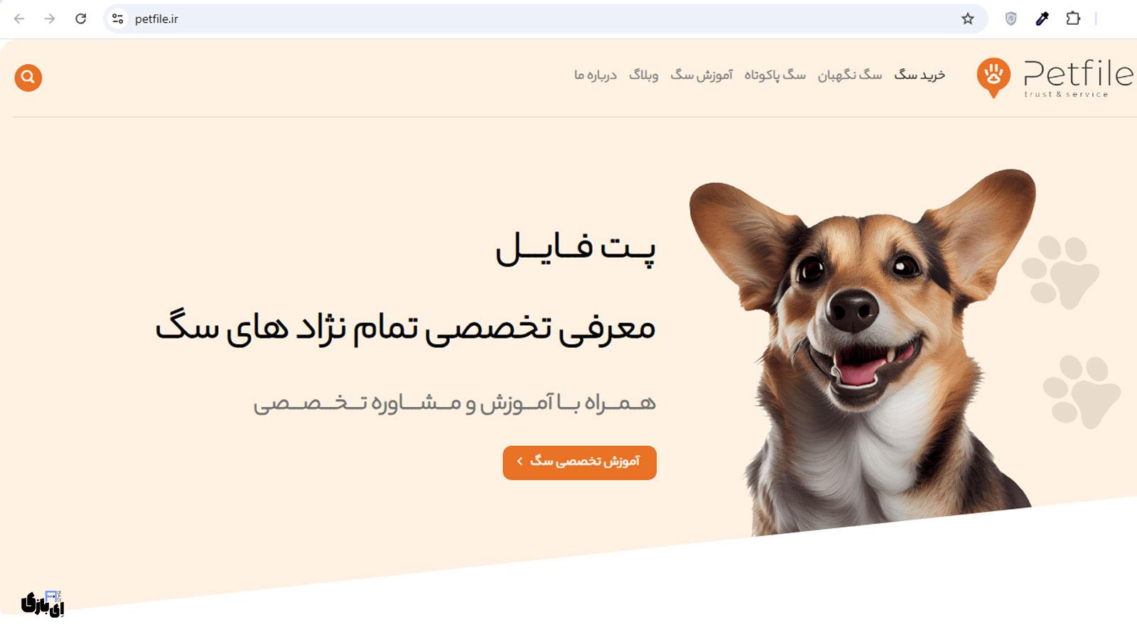 کجا سگ بخریم؟ معرفی مطمئنترین سایتهای خرید و فروش سگ در ایران! 5 معرفی بهترین سایت های خرید و فروش سگ - پت فایل