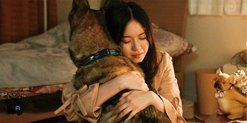 معرفی سریال عشق برای سگ هاست؛ سریال ژاپنی جدید ترند 2025 3 سریال ژاپنی عشق برای سگ هاست