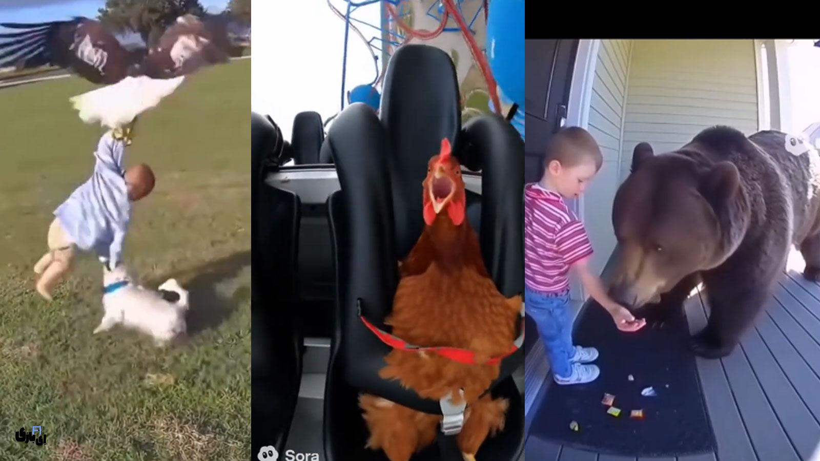 چگونه ویدیوهای میلیونی بسازیم؟ دسترسی به هوش مصنوعی سورا ۲ کاملا رایگان با Lovart 4 ساخت ویدئوی وایرالی با سورا 2