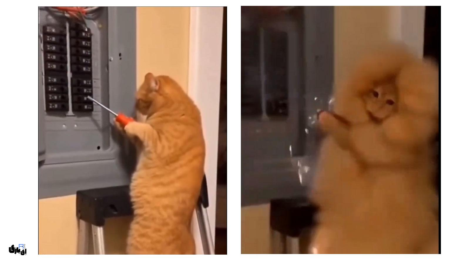 هوش مصنوعی سورا: راهنمای ساخت ۴۰ ویدیوی رایگان با مدل Sora2 4 راهنمای گام به گام ساخت ویدیو با هوش مصنوعی سورا (Sora2)