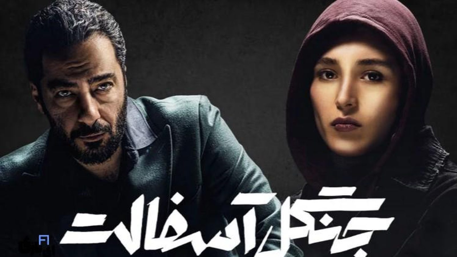 جنگل آسفالت