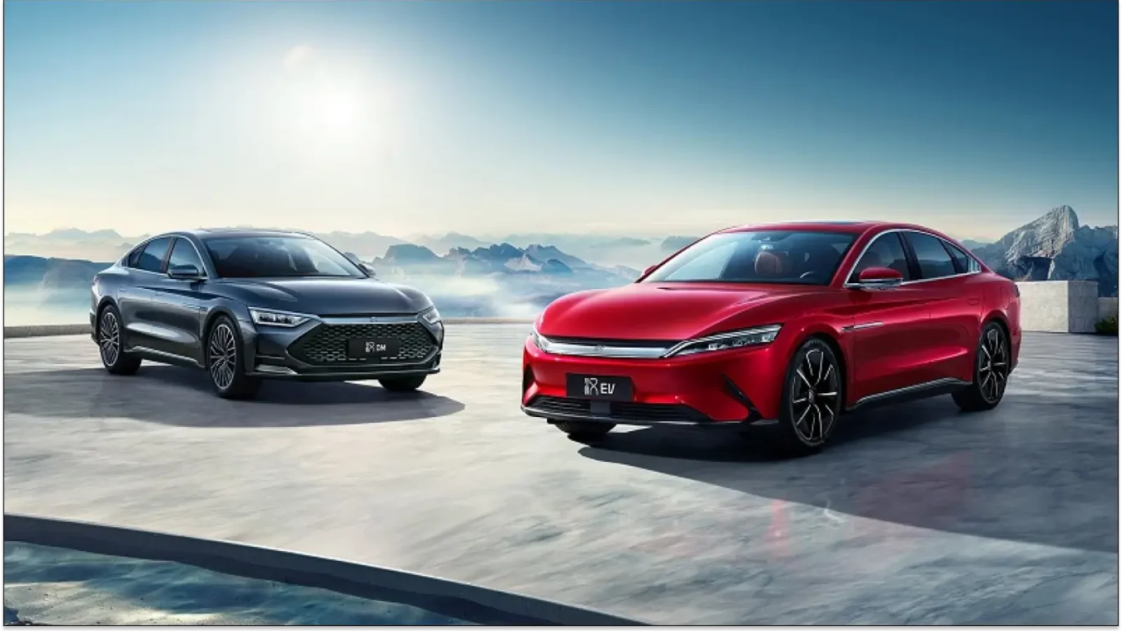 BYD-abazi-01