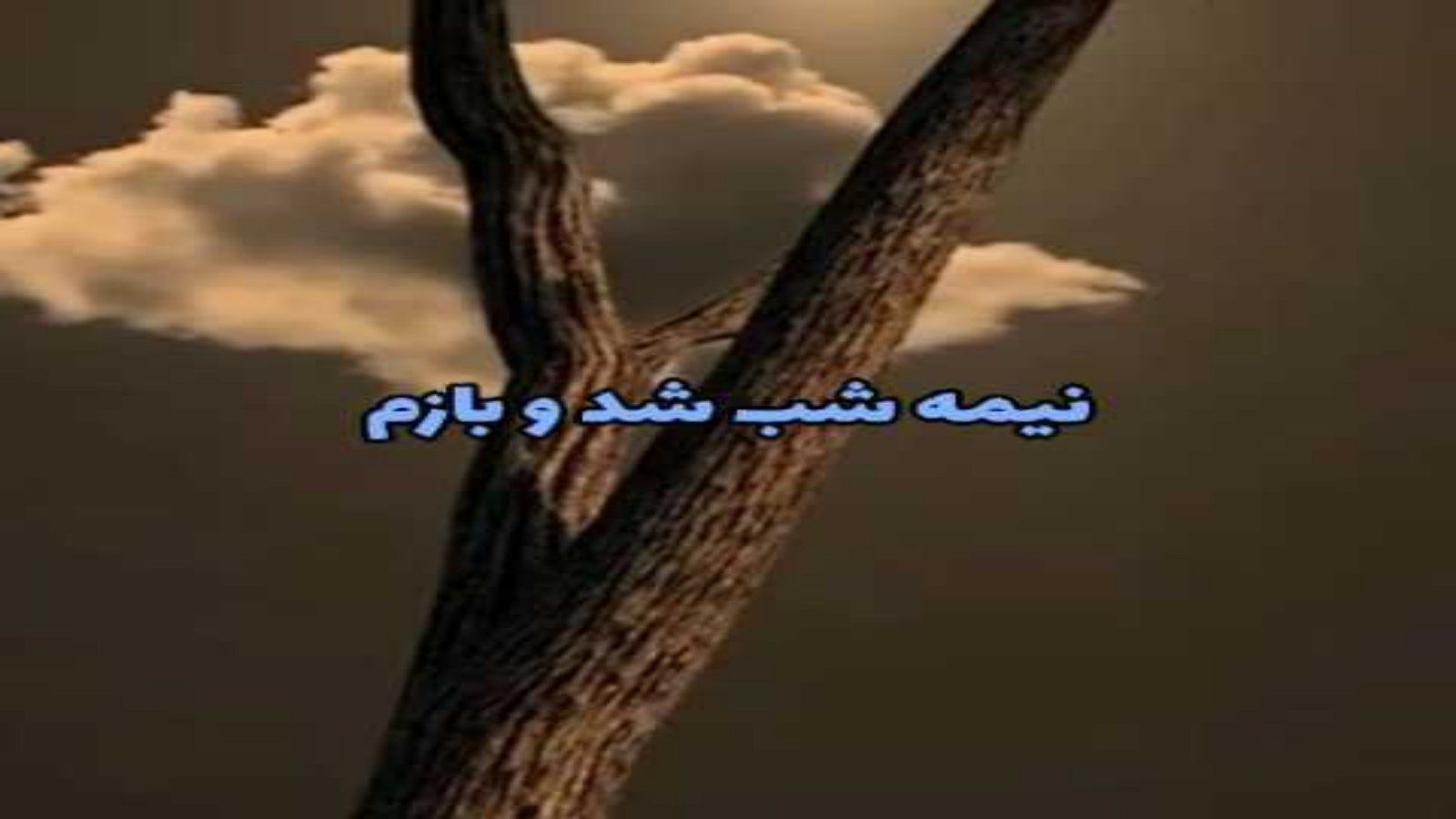 Hayedeh-NimeShab_copy_1600x900